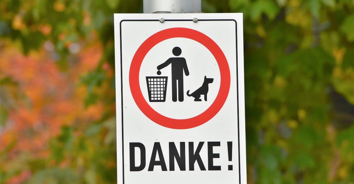 Немецкие игорные сайты онлайн и их регулирование