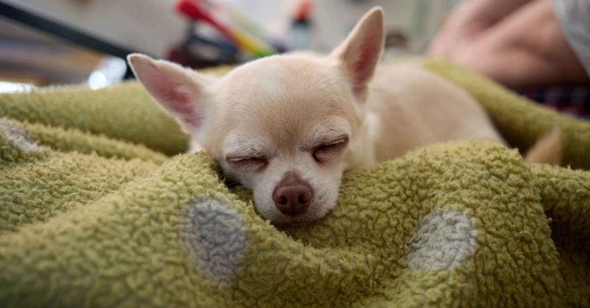 Бездепозитные бонусы казино и программы лояльности